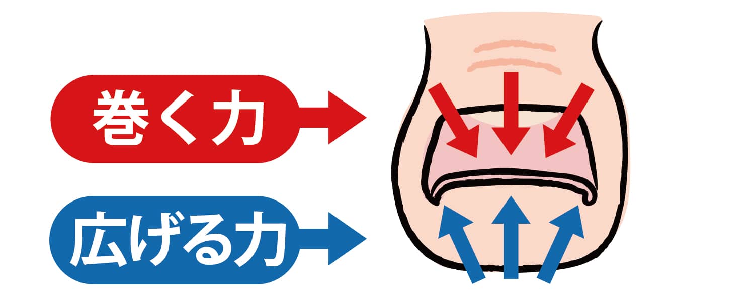 爪には内側に巻こうとする性質があります。正常な歩行で地面から圧力が加わり爪を広げようをする力になり爪の正常な形を保ちます。